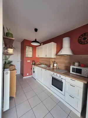Cuisine ou kitchenette dans l'établissement Gerland T2 standing - balcon - parking privé souterrain