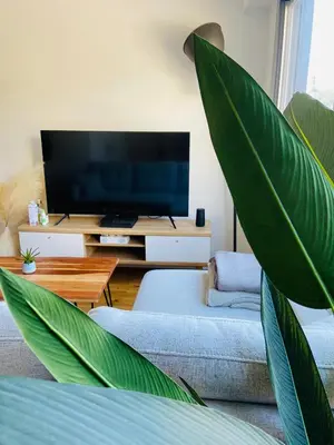 Télévision ou salle de divertissement dans l'établissement Le Repos Montchatois - Appartement moderne