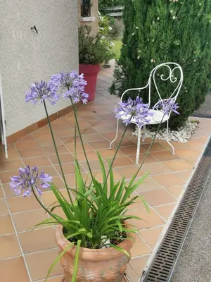 Jardin de l'établissement La Moderne