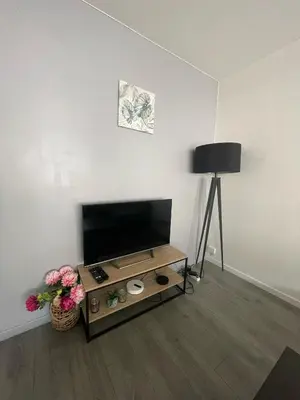 Télévision ou salle de divertissement dans l'établissement City & cosy, LYON CHARCOT- WIFI - LAVE LINGE - BALCON - PARKING