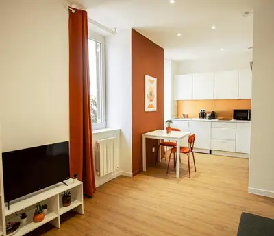 Cuisine ou kitchenette dans l'établissement Le Terracotta - Joli studio Metro D Valmy et quais de Saone - wifi inclus