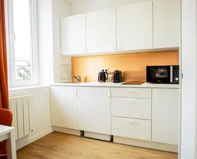 Cuisine ou kitchenette dans l'établissement Le Terracotta - Joli studio Metro D Valmy et quais de Saone - wifi inclus