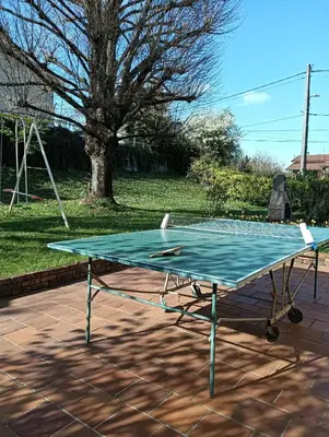 Tennis de table au sein de l'établissement Gîte des Gones Maison 3 étoiles 10 personnes Jardin Lyon Eurexpo ou à proximité