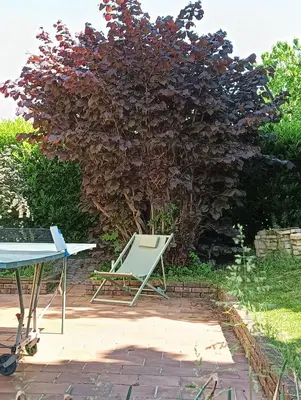 Jardin de l'établissement Gîte des Gones Maison 3 étoiles 10 personnes Jardin Lyon Eurexpo