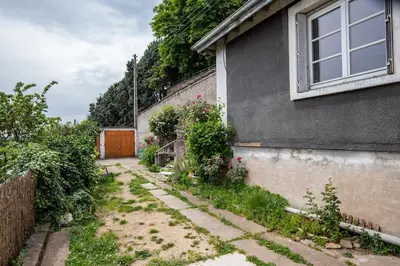 Jardin de l'établissement *Maison Lyon Confluence* dans jolie copropriété