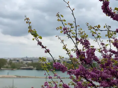 Vue sur la rivière ou le fleuve situé(e) à proximité de la maison de vacances