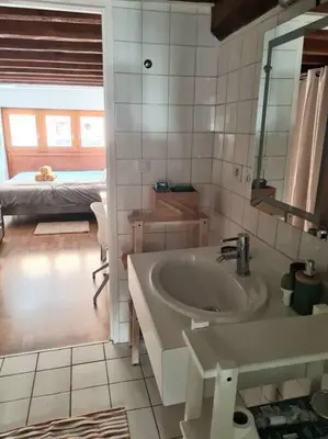 Salle de bains dans l'établissement Duplex atypique loft Lyon 6