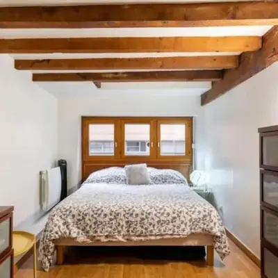 Duplex atypique loft Lyon 6