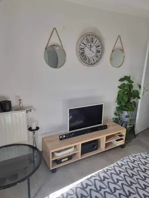 Télévision ou salle de divertissement dans l'établissement Groupama stadium