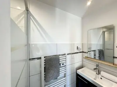 Salle de bains dans l'établissement Cosy appart Perrin 1