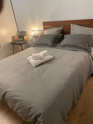 Un ou plusieurs lits dans un hébergement de l'établissement Studio Le Central 350 m de Gare Lyon Part-Dieu, Navette Stade et Arena ,Eurexpo Aéroport- Bus Direct Centre Ville
