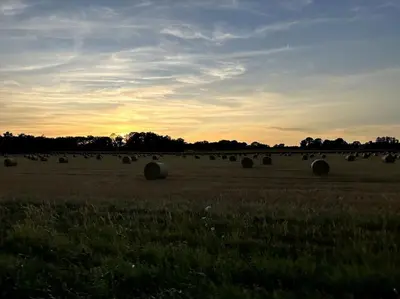Lever ou coucher de soleil vu de l'appartement ou à proximité