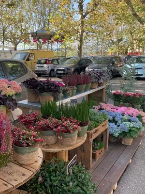 Jardin de l'établissement Duplex de luxe à Trévoux élégance et confort 100m2 chambres climatisées