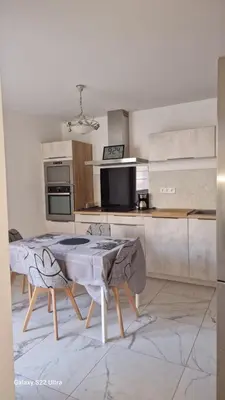 Cuisine ou kitchenette dans l'établissement Spacieux, lumineux, chic ,60m2 au coeur du Lyon 6ème -Quartier Foch- avec grand balcon