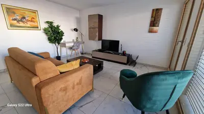 Télévision ou salle de divertissement dans l'établissement Spacieux, lumineux, chic ,60m2 au coeur du Lyon 6ème -Quartier Foch- avec grand balcon