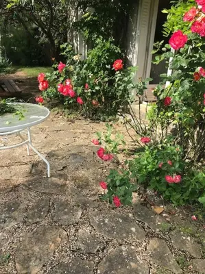 Jardin de l'établissement Calme et tranquillité à la campagne
