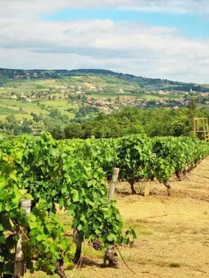 Paysage naturel près de la maison de vacances
