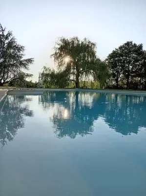 Piscine de l'établissement Le Relais des Cigognes ou située à proximité