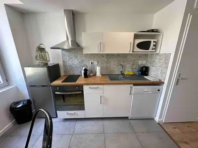 Cuisine ou kitchenette dans l'établissement Appartement Vignes Vienne nord