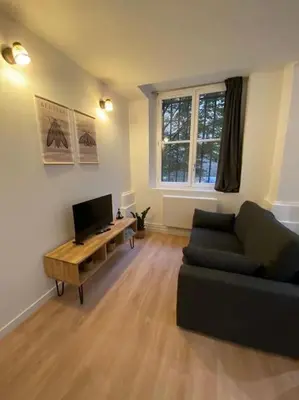 Coin salon dans l'établissement Cozy 1BR in Lyon Center
