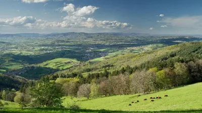 Paysage naturel près de l'appartement