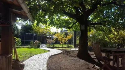 Jardin de l'établissement Chambre privée Lyon
