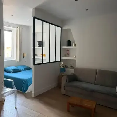 Studio totalement rénové en plein centre-ville devant la Préfecture de Lyon