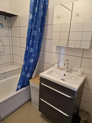 Salle de bains dans l'établissement Apartment close to Lyon and Parc de Parilly
