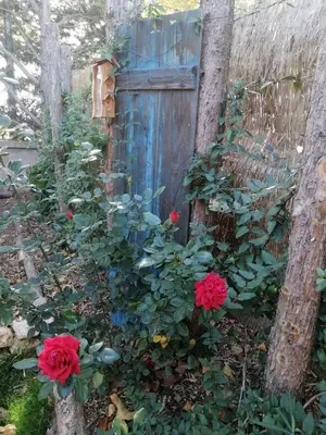 Jardin de l'établissement L'Embellie un gîte tout confort et cocooning