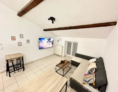 Télévision ou salle de divertissement dans l'établissement Spacieux & Charmant 2 chambres - Lyon Bron Eurexpo