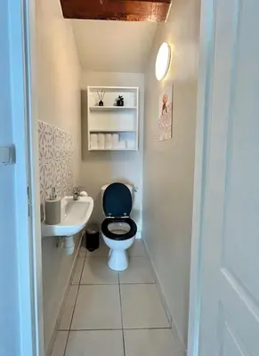 Salle de bains dans l'établissement Spacieux & Charmant 2 chambres - Lyon Bron Eurexpo