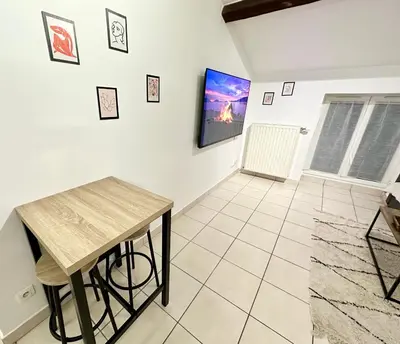 Télévision ou salle de divertissement dans l'établissement Spacieux & Charmant 2 chambres - Lyon Bron Eurexpo