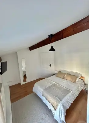 Un ou plusieurs lits dans un hébergement de l'établissement Spacieux & Charmant 2 chambres - Lyon Bron Eurexpo