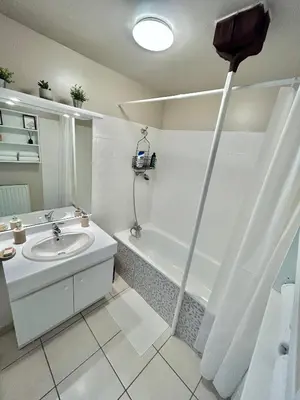 Salle de bains dans l'établissement Spacieux & Charmant 2 chambres - Lyon Bron Eurexpo