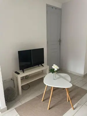 Télévision ou salle de divertissement dans l'établissement Petit studio aux portes du beaujolais