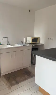 Cuisine ou kitchenette dans l'établissement Petit studio aux portes du beaujolais