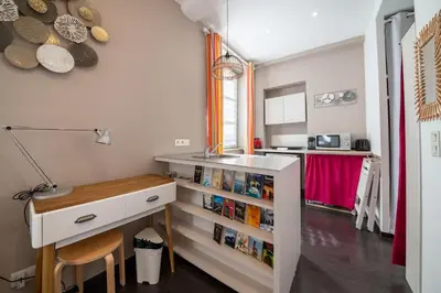 Cuisine ou kitchenette dans l'établissement Charmant studio Hyper-centre