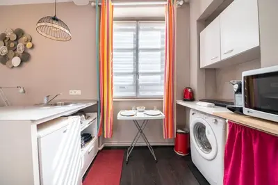 Cuisine ou kitchenette dans l'établissement Charmant studio Hyper-centre