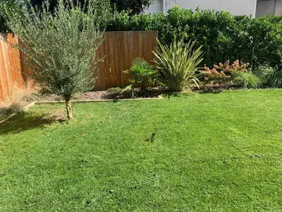 Jardin de l'établissement Maison SYRAH