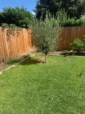 Jardin de l'établissement Maison SYRAH