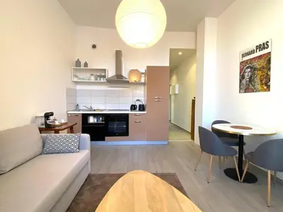 Cuisine ou kitchenette dans l'établissement T2 Cocooning au coeur de Vienne