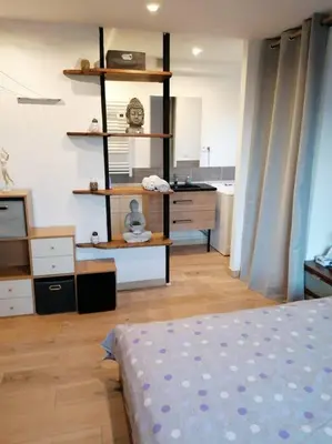 Cuisine ou kitchenette dans l'établissement Appartement ZEN ET COSY