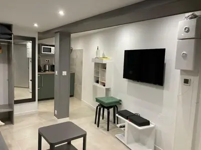 Télévision ou salle de divertissement dans l'établissement studio Vieux Lyon