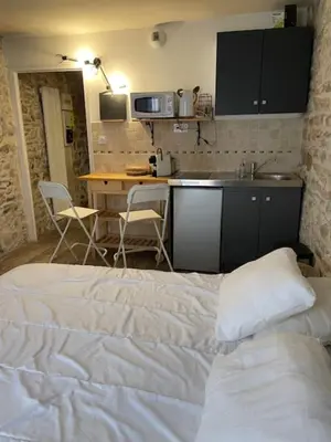 Cuisine ou kitchenette dans l'établissement Studio with exposed stone Vieux Lyon