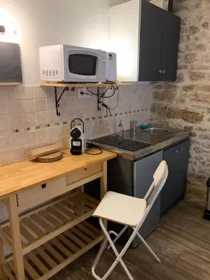 Cuisine ou kitchenette dans l'établissement Studio with exposed stone Vieux Lyon