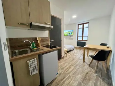Cuisine ou kitchenette dans l'établissement Studio rénové à 15 min de Lyon