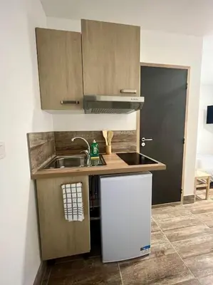 Cuisine ou kitchenette dans l'établissement Studio rénové à 15 min de Lyon