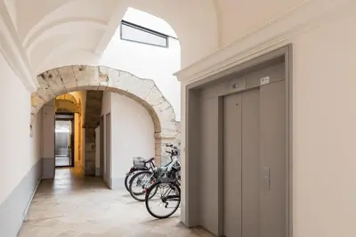 Vélo sur le terrain de l'établissement Appartement à 3 min des Jacobins ou dans les environs
