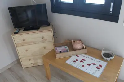 Télévision ou salle de divertissement dans l'établissement le clos du popey