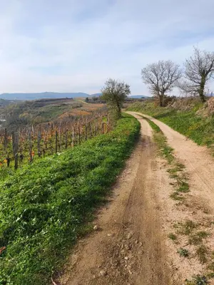 Paysage naturel près de l'appartement